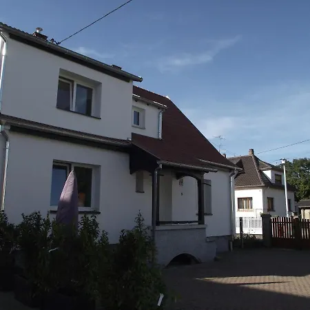 3 Du Pays De La Ceramique 度假居 Sessenheim